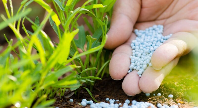 Urea Khad and Environmental Sustainability