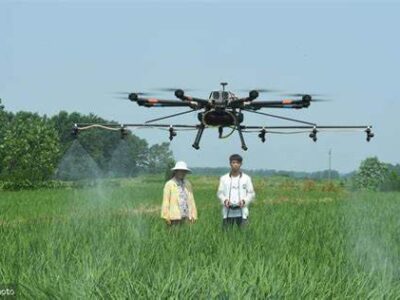 Urea foliar fertilization method