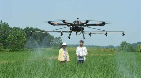 Urea foliar fertilization method