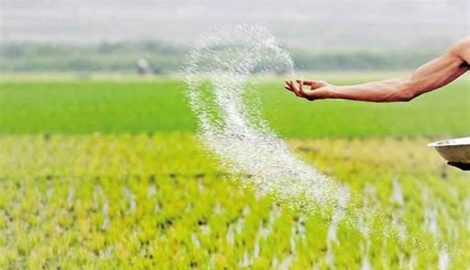 Urea strip fertilization