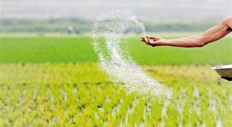 Urea strip fertilization