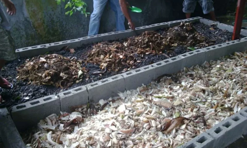 Vermicomposting (Vermiculture)