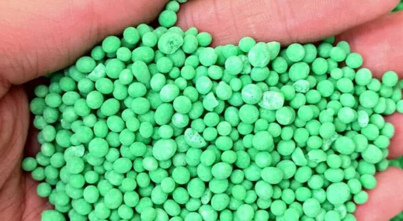 Why Are Fertilizer Pellets the Top Choice for Gardening Beginners