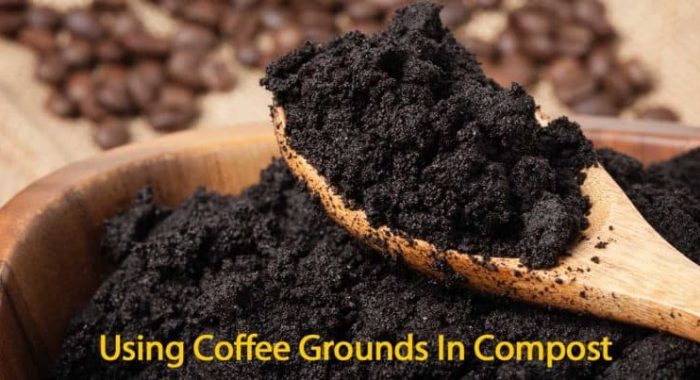 Composting Coffee Grounds and Tea Leaves​