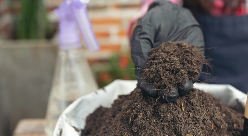 Compost Accelerator:
