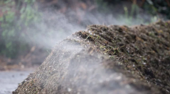 organic fertilizer raw material