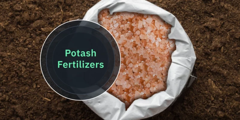 Why Compare Potash Fertilizers?